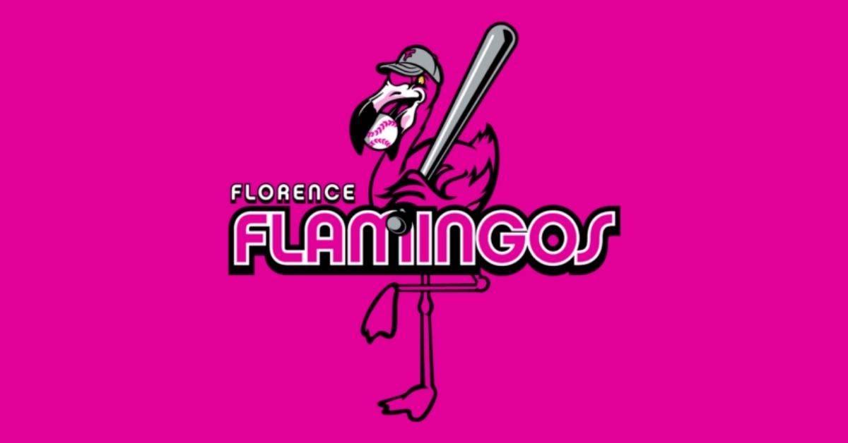 Florence Flamingos Baseball & the Fabulous Fowl Collide