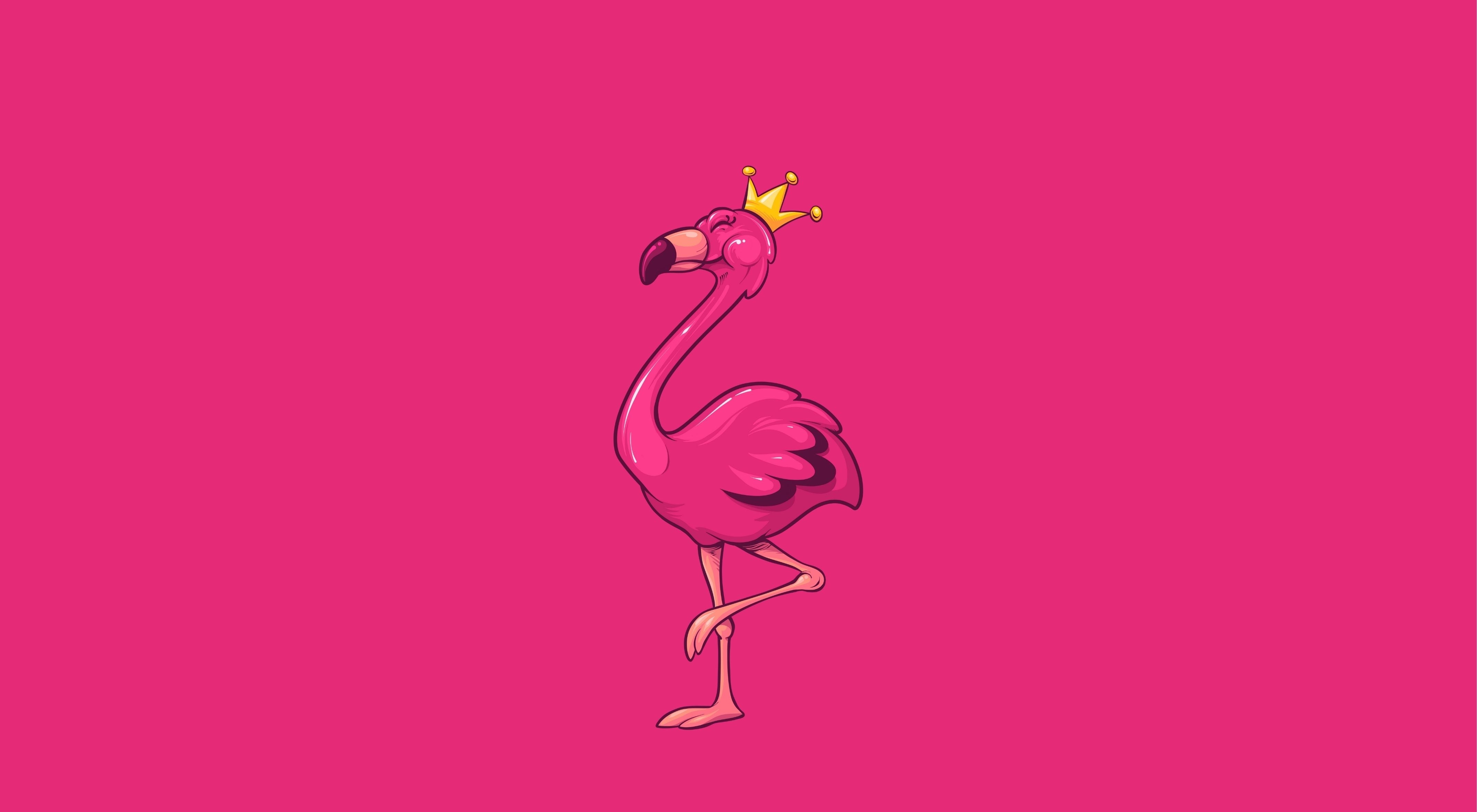 All Products | The Popular Flamingo