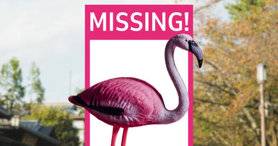 Parma Flamingo: Three Arrested in Alleged Vandalism