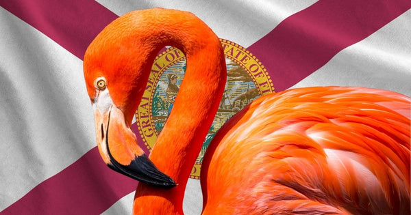 American Flamingo Takes Next Step Toward Florida State Bird Status