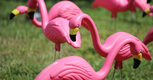 Don Featherstone: The Man Behind the Plastic Pink Flamingo