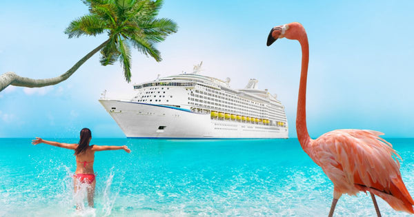 Flamingo Fanatics Cruise 2024: Flamingo Fun in the Sun!