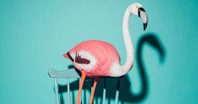 Flamingo Home Decor Concepts for 2025