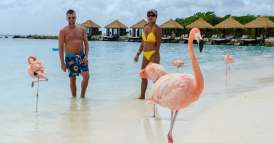 You Could Find Flamingos on These Beaches
