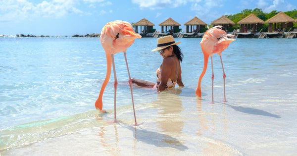 The Best Flamingo-Themed Products for Your Next Beach Vacation