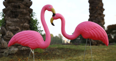 How to Celebrate National Pink Flamingo Day 2023