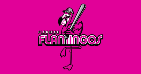 Florence Flamingos: Baseball & the Fabulous Fowl Collide