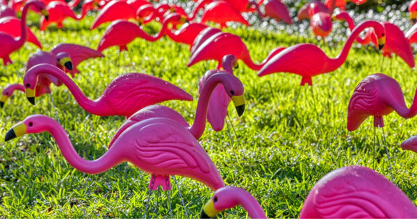 This Is the History of National Pink Flamingo Day