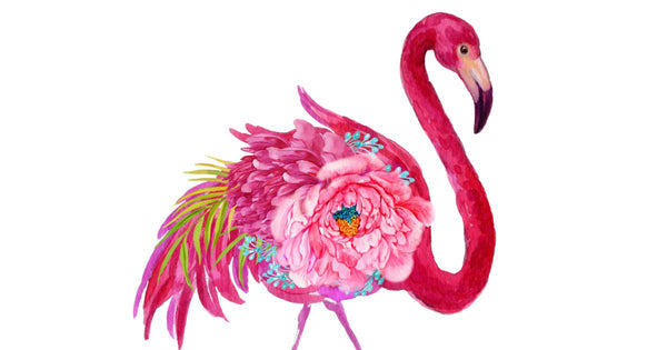 The Beauty of Flamingos: Capturing Their Elegance Through Art