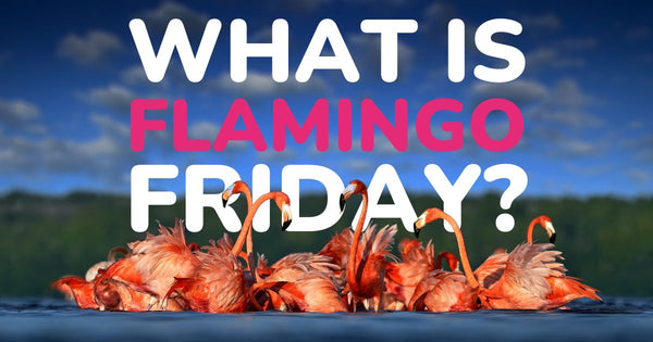 What Is Flamingo Friday?
